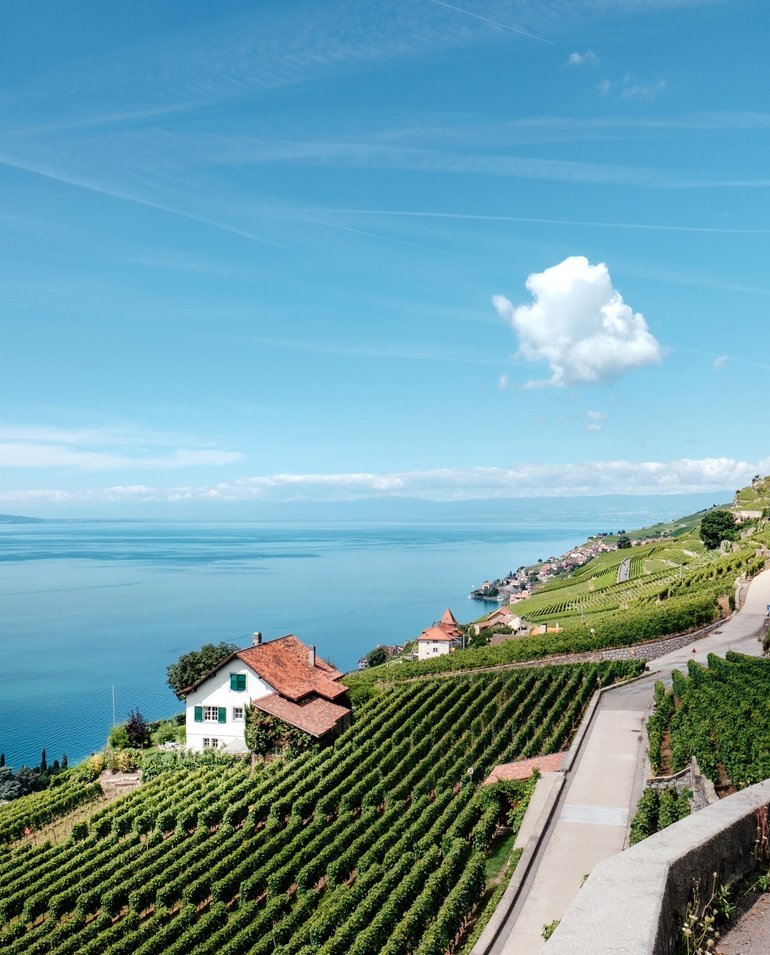 Urlaubsfeeling mit Wein vom Gardasee