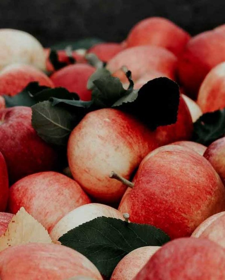 Paradisisch: Bio Äpfel aus Tirol
